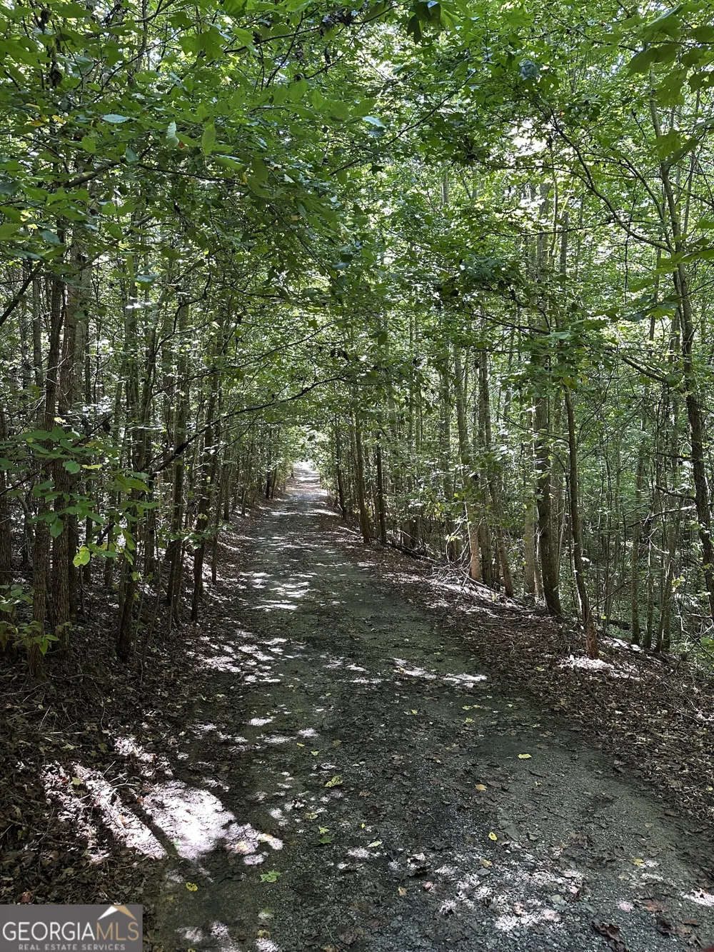 305 Wildcat RD Buchanan, GA 30113