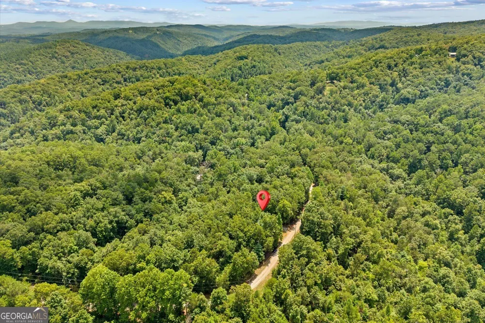 937 Aurora LN Ranger, GA 30734