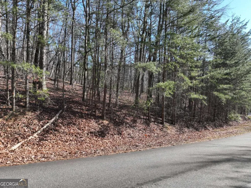 58 Saint Andrews WAY Ellijay, GA 30536