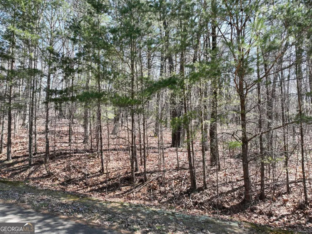 58 Saint Andrews WAY Ellijay, GA 30536