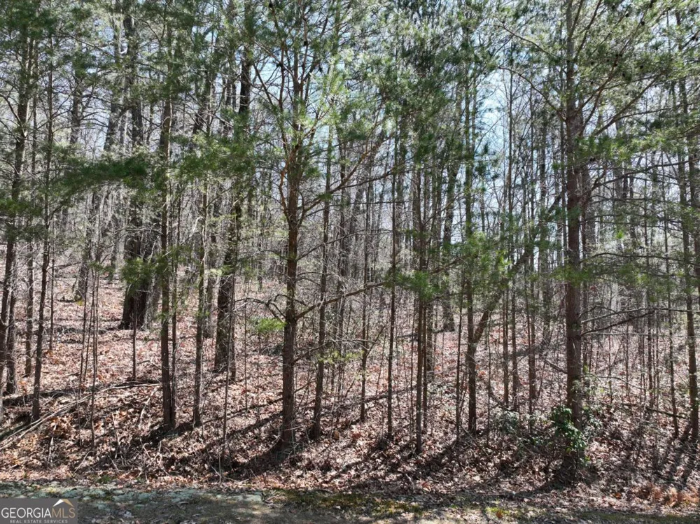 58 Saint Andrews WAY Ellijay, GA 30536
