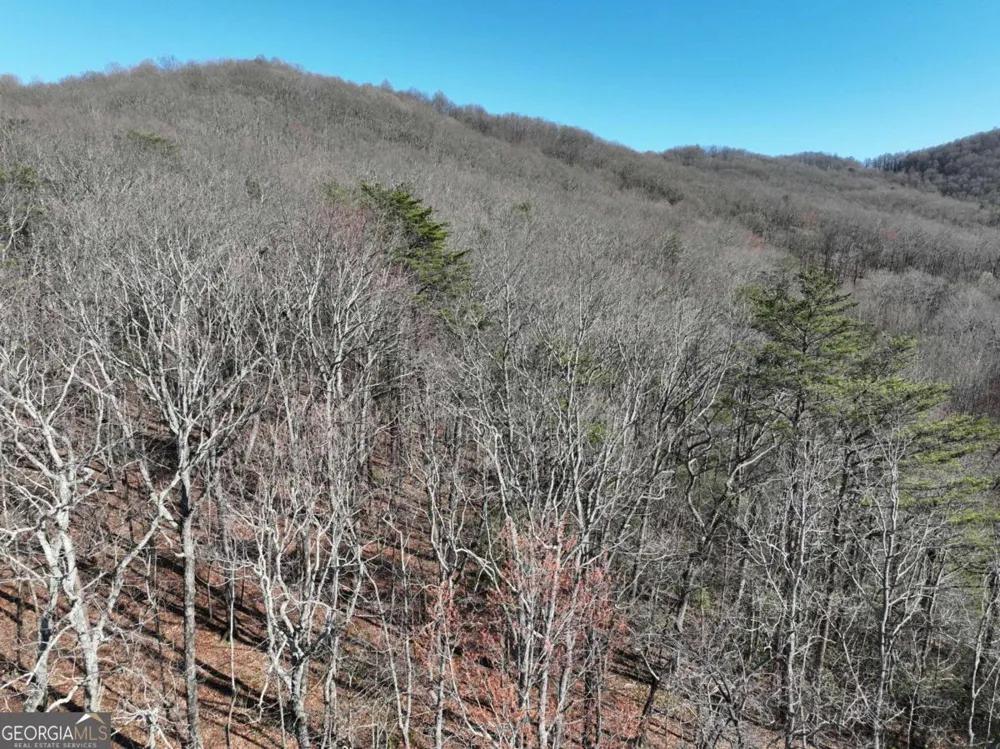 58 Saint Andrews WAY Ellijay, GA 30536