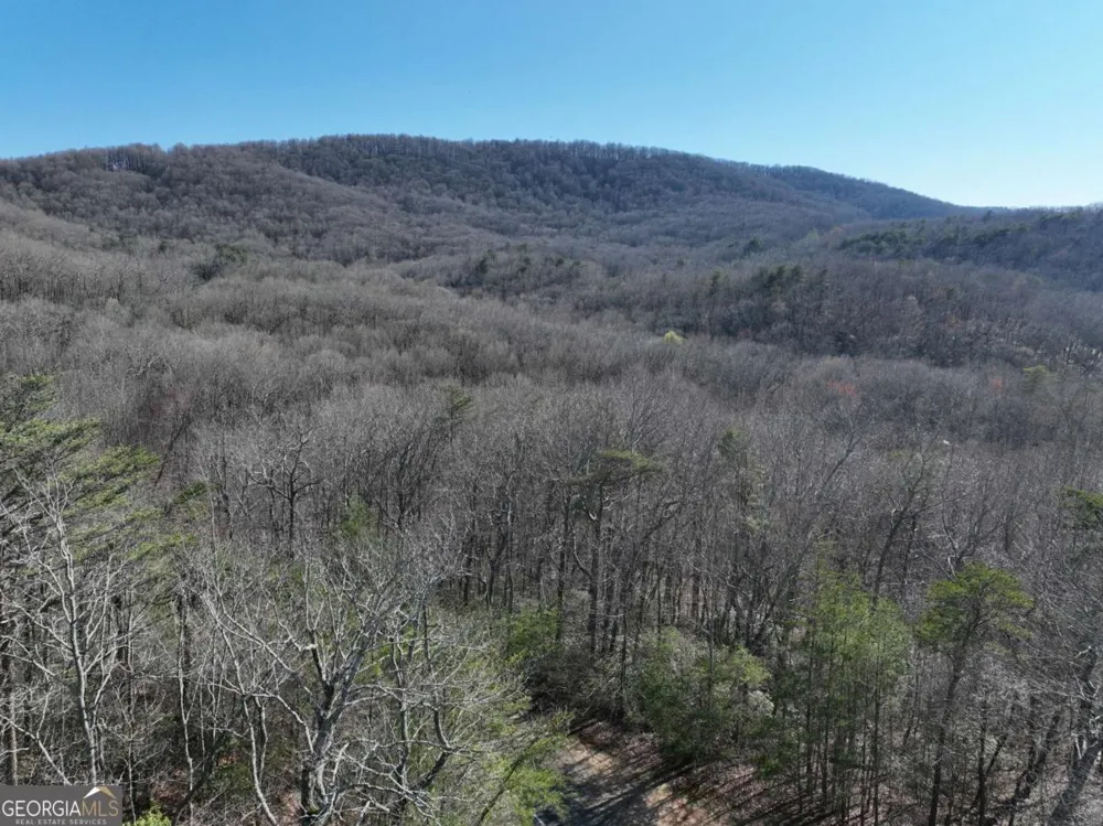 58 Saint Andrews WAY Ellijay, GA 30536