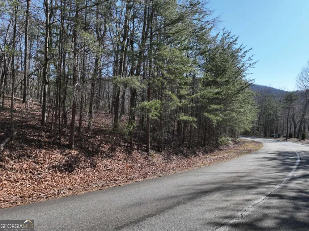 58 Saint Andrews WAY Ellijay, GA 30536