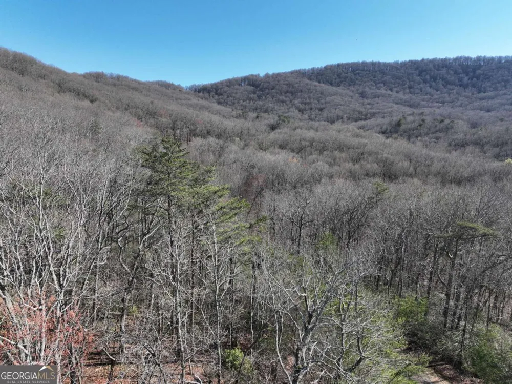 58 Saint Andrews WAY Ellijay, GA 30536