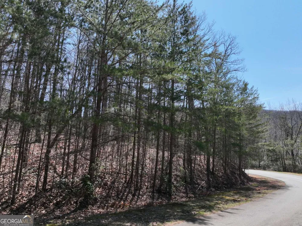 58 Saint Andrews WAY Ellijay, GA 30536