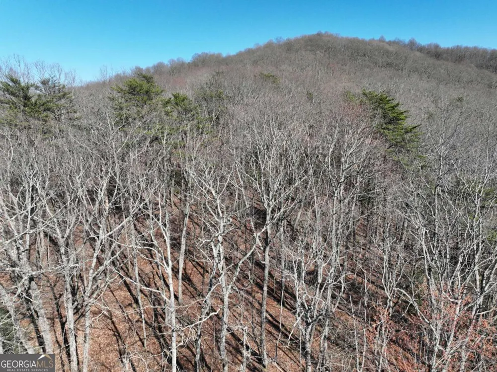 58 Saint Andrews WAY Ellijay, GA 30536