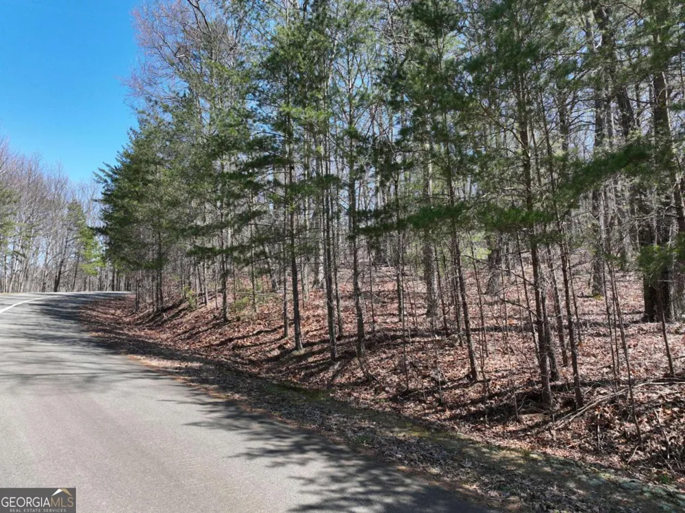 58 Saint Andrews WAY Ellijay, GA 30536