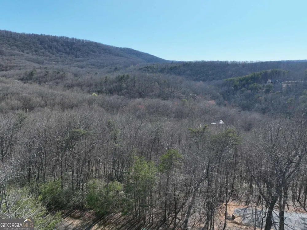 58 Saint Andrews WAY Ellijay, GA 30536