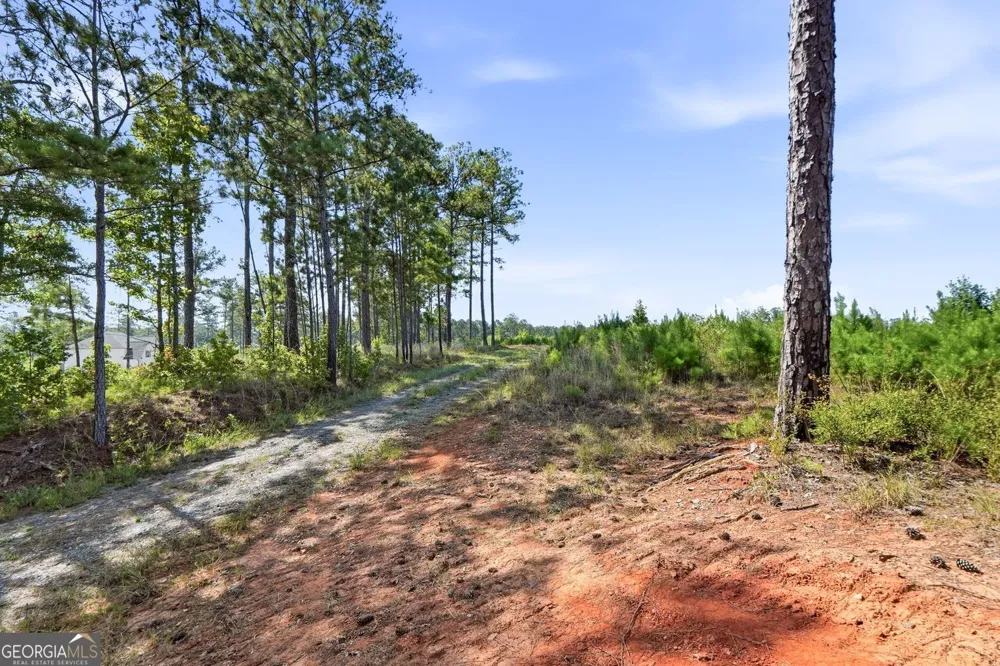 734 Giles RD Forsyth, GA 31029
