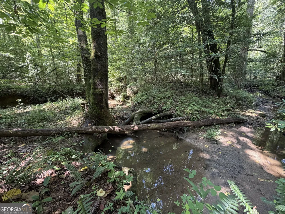 0 Alpine DR Sautee Nacoochee, GA 30571
