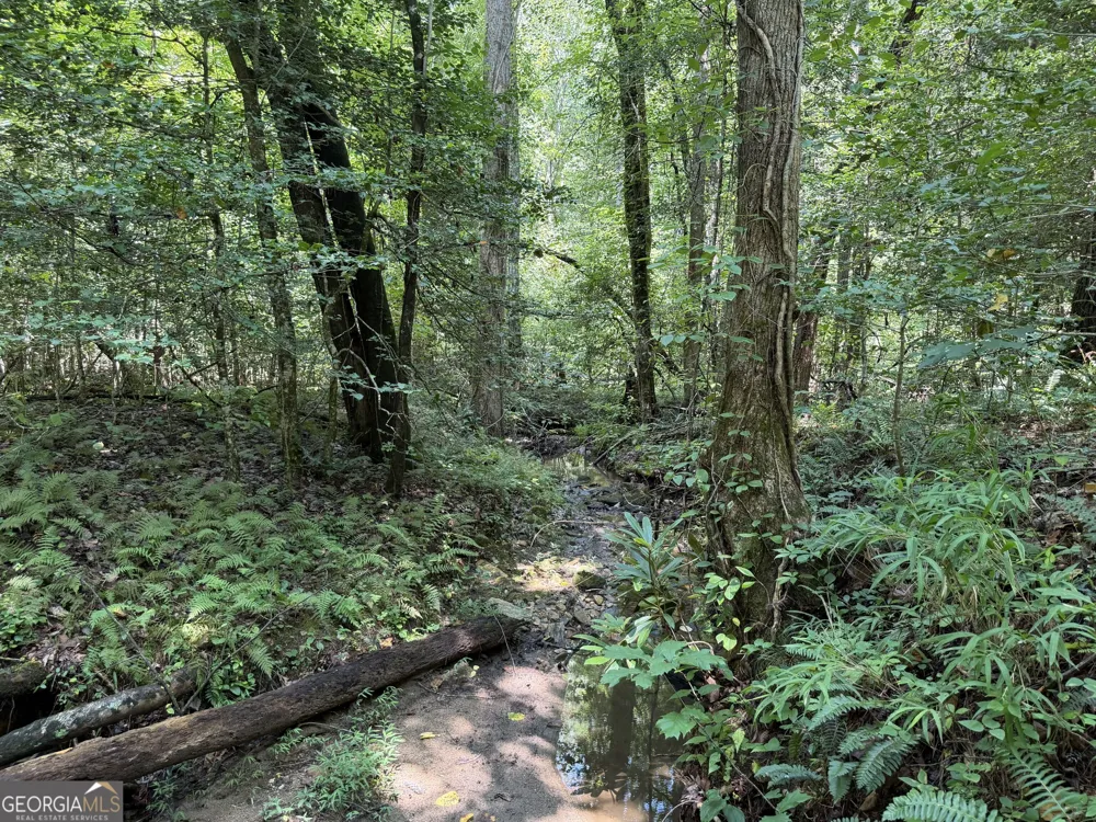 0 Alpine DR Sautee Nacoochee, GA 30571