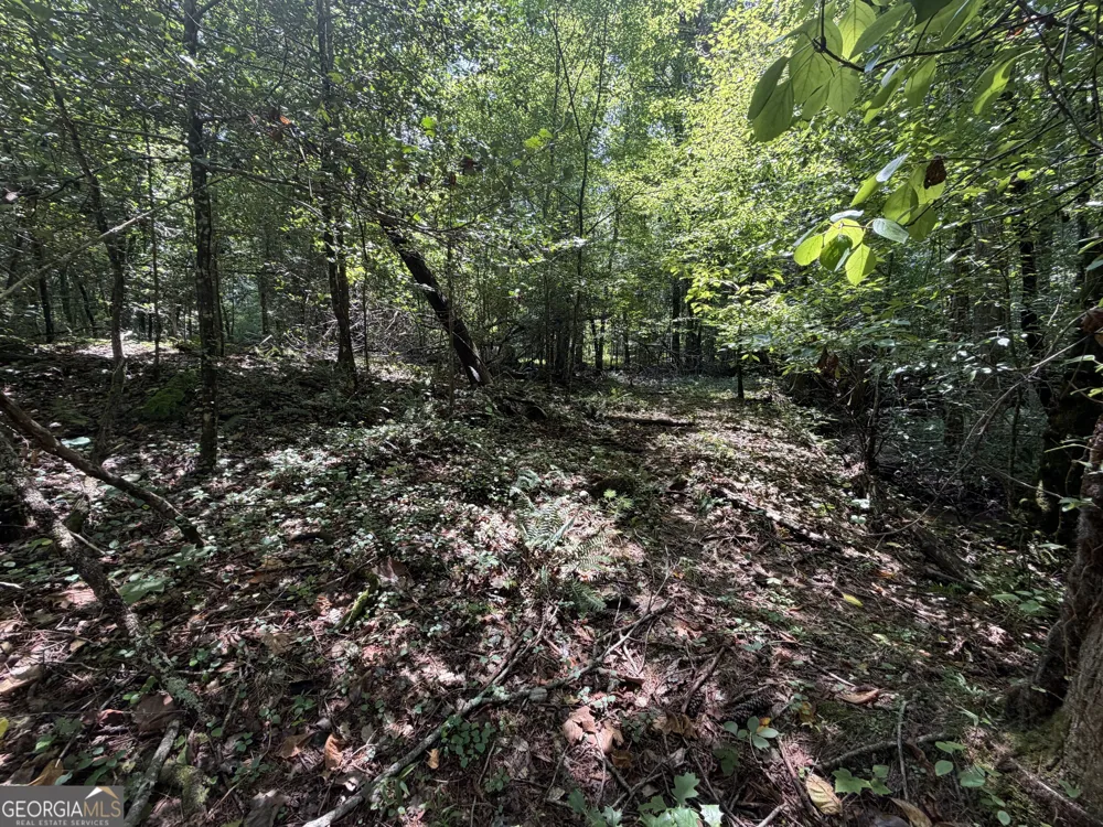 0 Alpine DR Sautee Nacoochee, GA 30571
