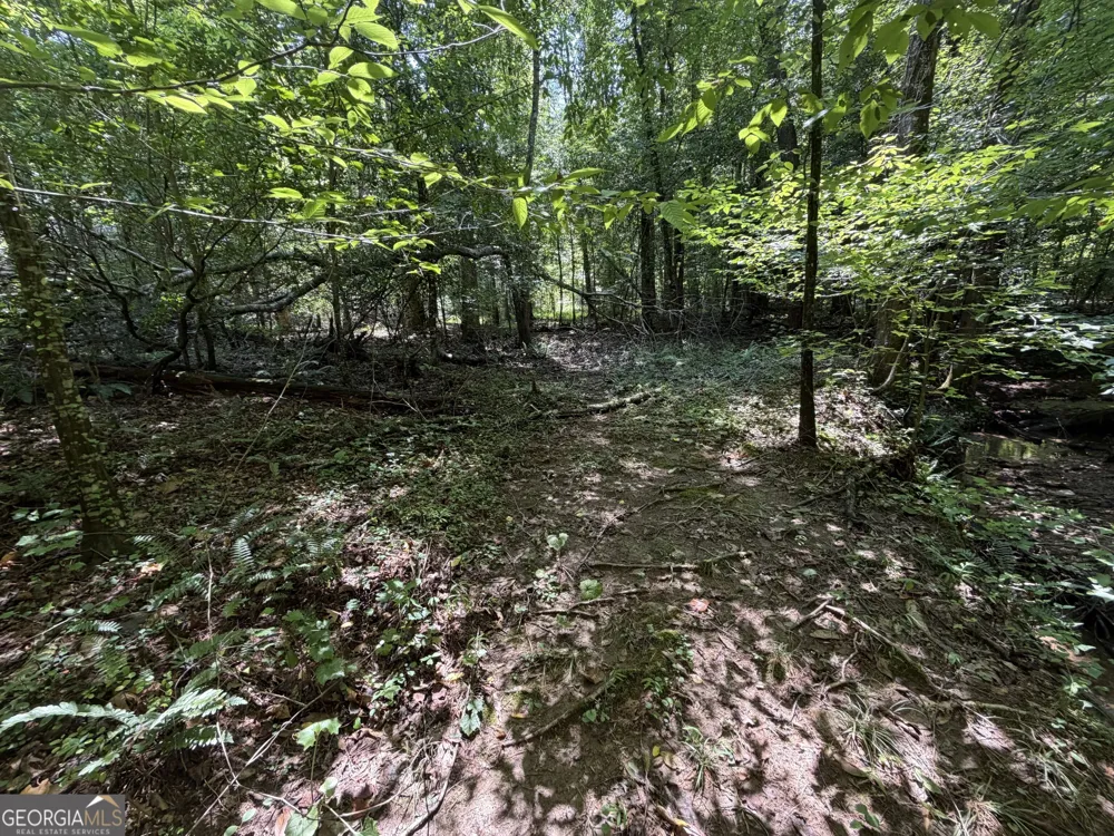 0 Alpine DR Sautee Nacoochee, GA 30571