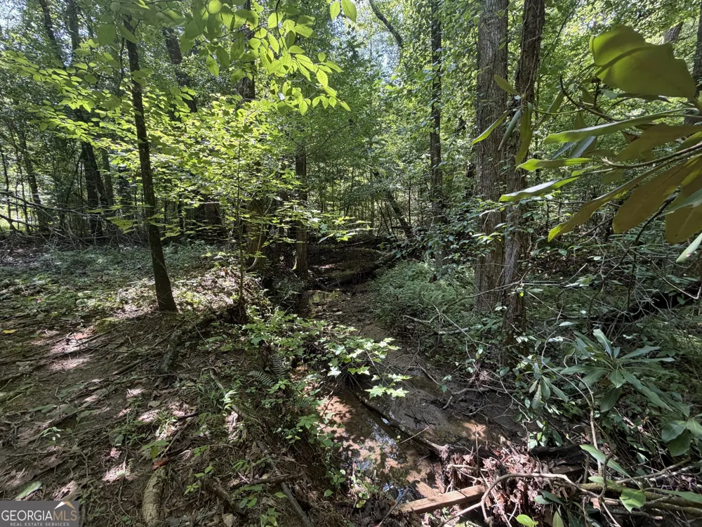 0 Alpine DR Sautee Nacoochee, GA 30571