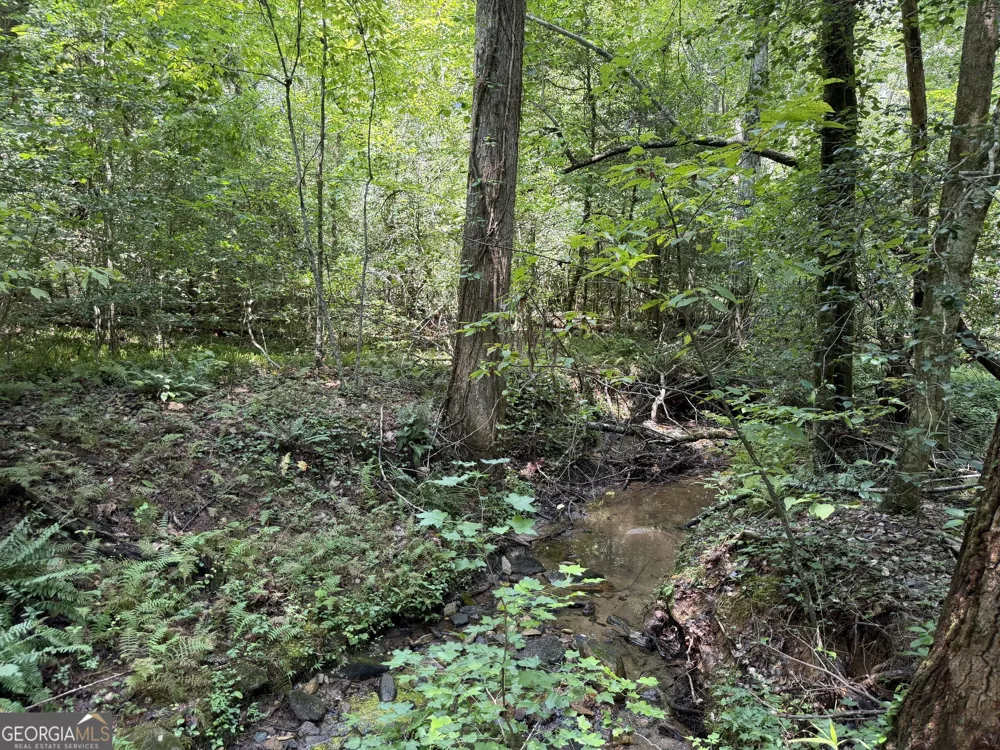 0 Alpine DR Sautee Nacoochee, GA 30571