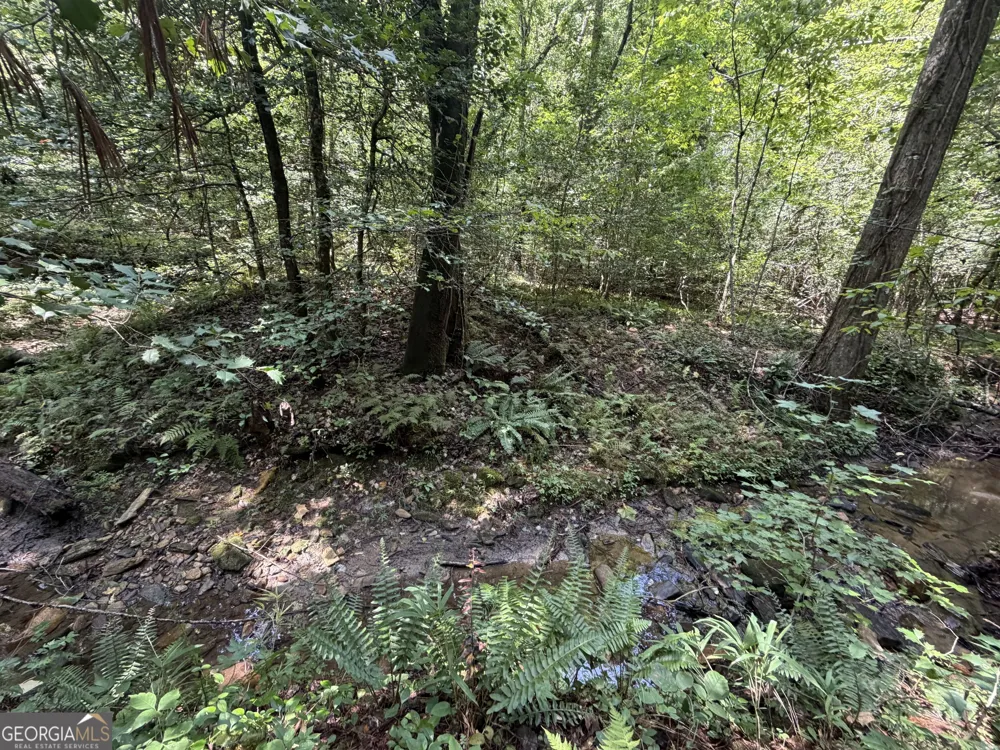 0 Alpine DR Sautee Nacoochee, GA 30571