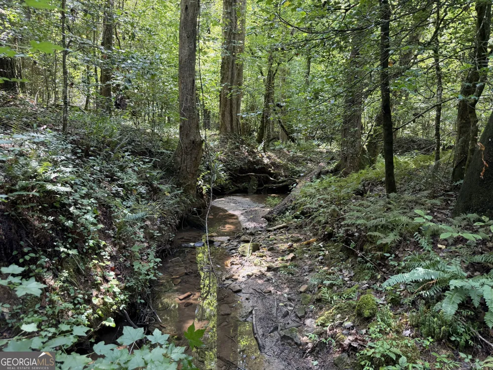 0 Alpine DR Sautee Nacoochee, GA 30571
