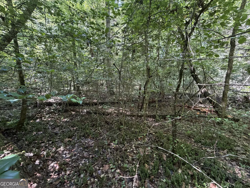 0 Alpine DR Sautee Nacoochee, GA 30571