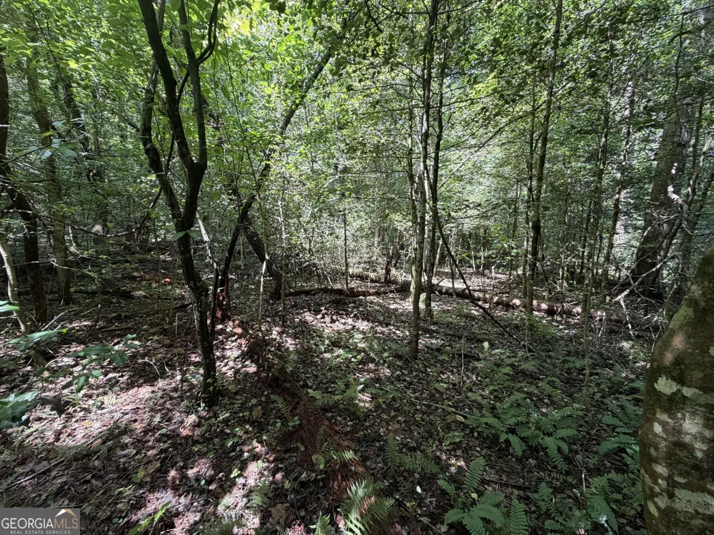 0 Alpine DR Sautee Nacoochee, GA 30571