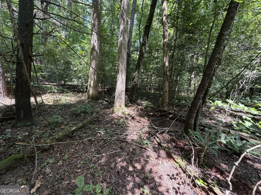 0 Alpine DR Sautee Nacoochee, GA 30571