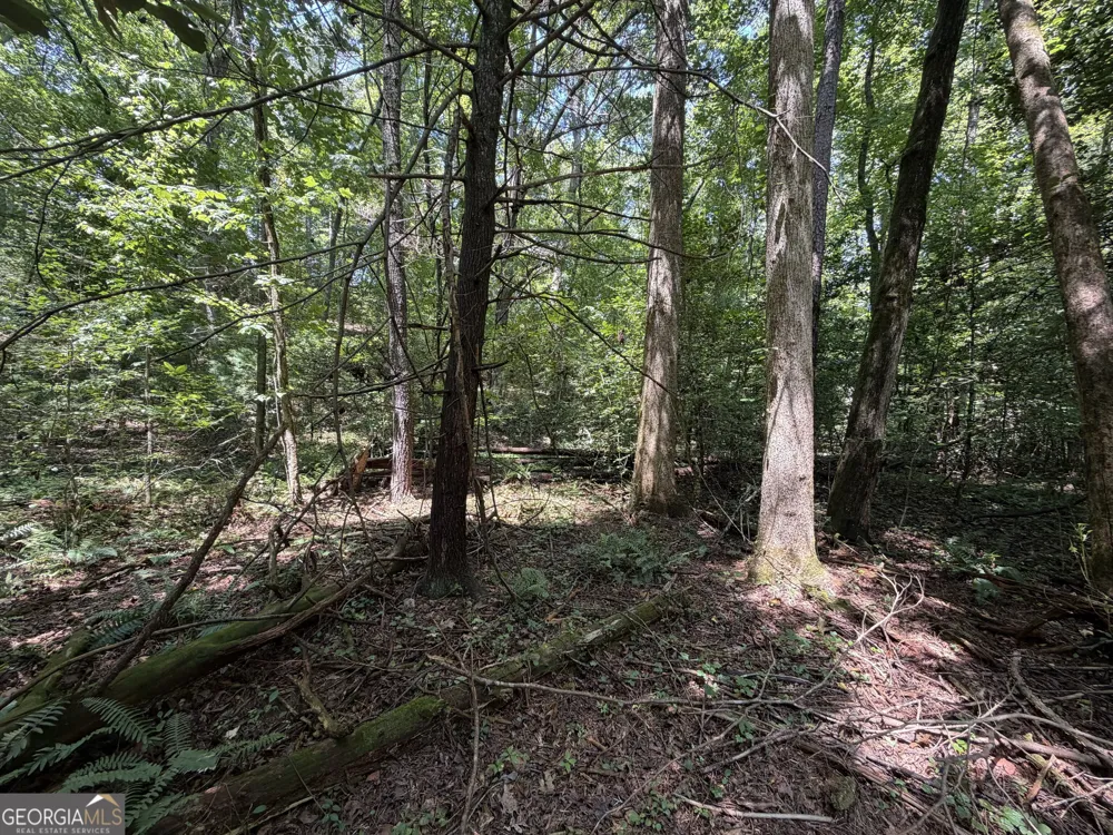 0 Alpine DR Sautee Nacoochee, GA 30571