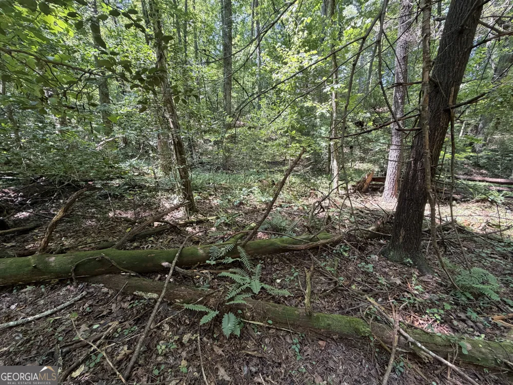 0 Alpine DR Sautee Nacoochee, GA 30571