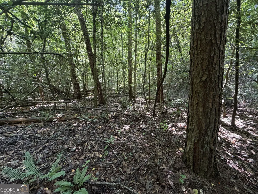 0 Alpine DR Sautee Nacoochee, GA 30571