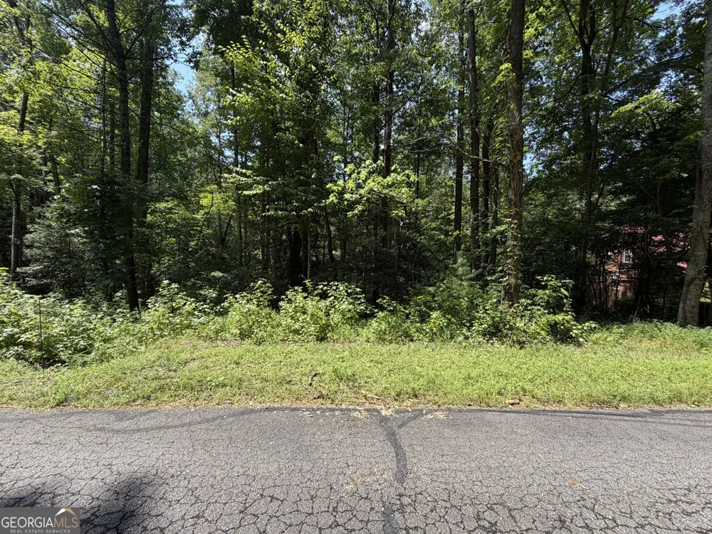 0 Alpine DR Sautee Nacoochee, GA 30571