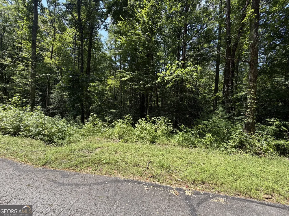 0 Alpine DR Sautee Nacoochee, GA 30571