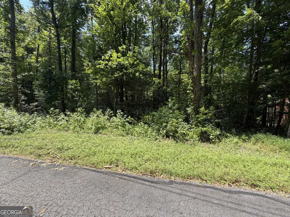 0 Alpine DR Sautee Nacoochee, GA 30571