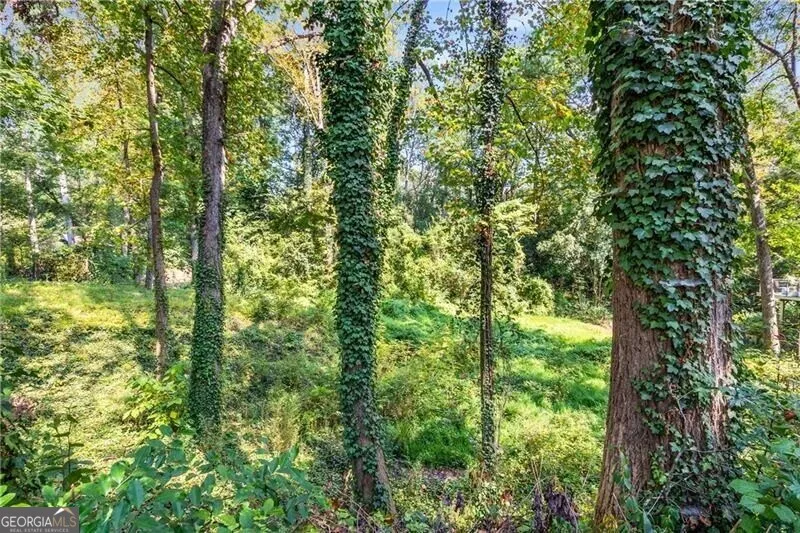 519 Durand DR NE Atlanta, GA 30307