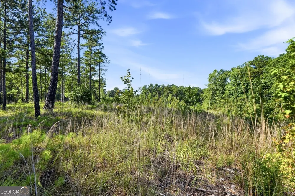 682 Giles RD Forsyth, GA 31029