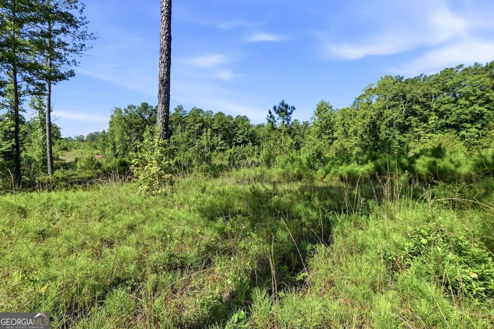 682 Giles RD Forsyth, GA 31029