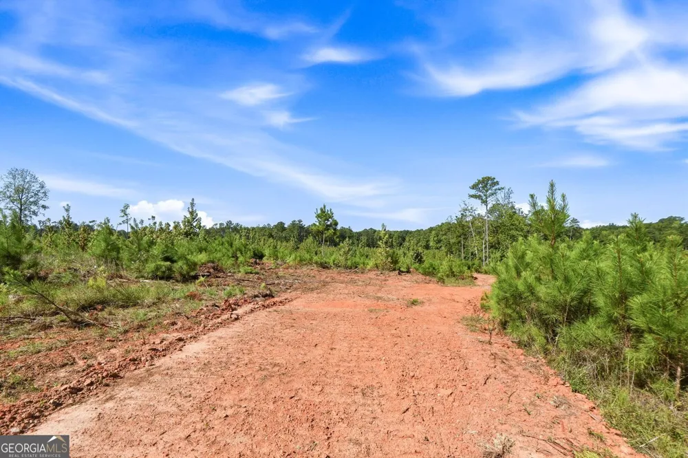 682 Giles RD Forsyth, GA 31029