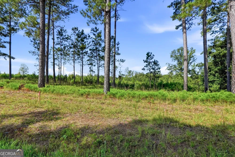 682 Giles RD Forsyth, GA 31029
