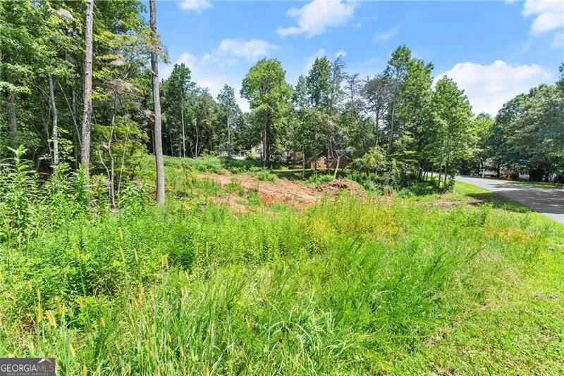 8690 Bayhill DR Gainesville, GA 30506