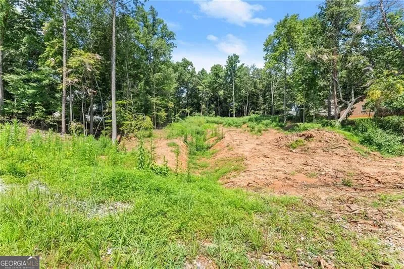 8690 Bayhill DR Gainesville, GA 30506