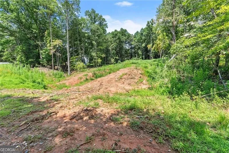 8690 Bayhill DR Gainesville, GA 30506