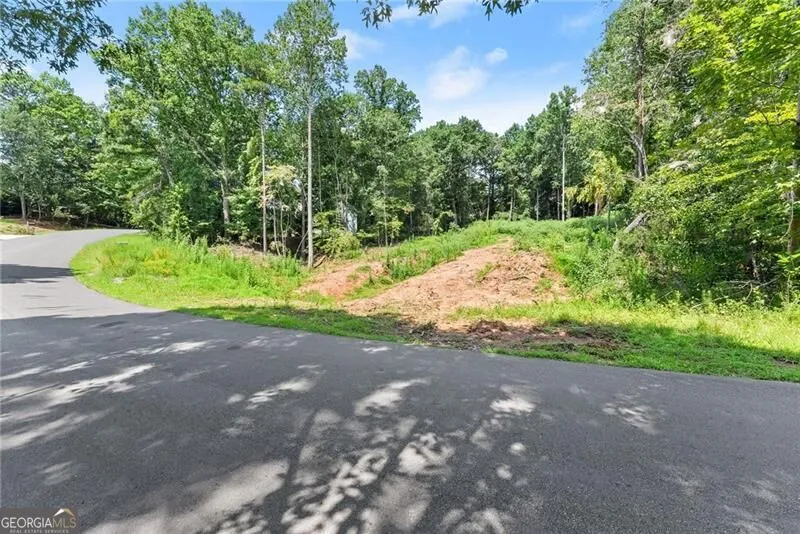 8690 Bayhill DR Gainesville, GA 30506