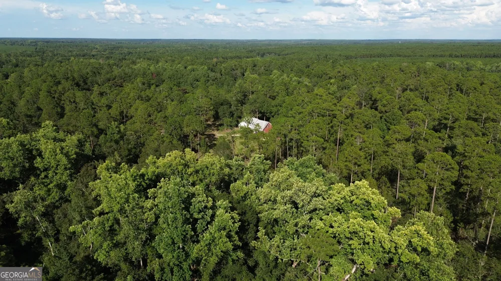 24 Peterson LN Mcrae-Helena, GA 31055