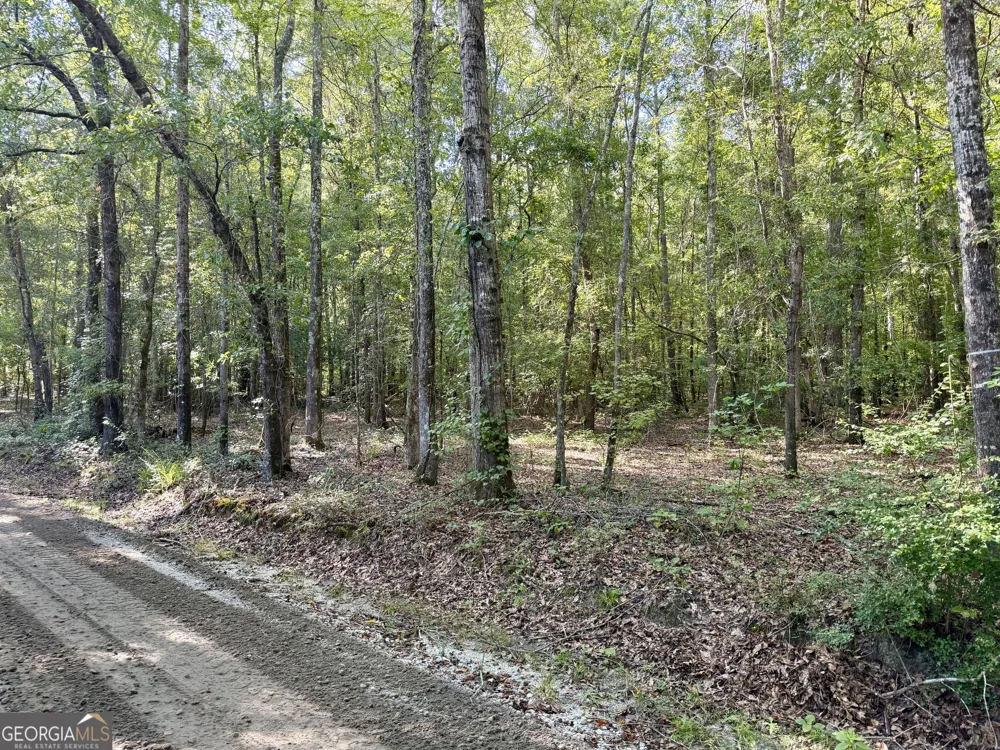 TRACT 5 Chapman RD Fayetteville, GA 30215