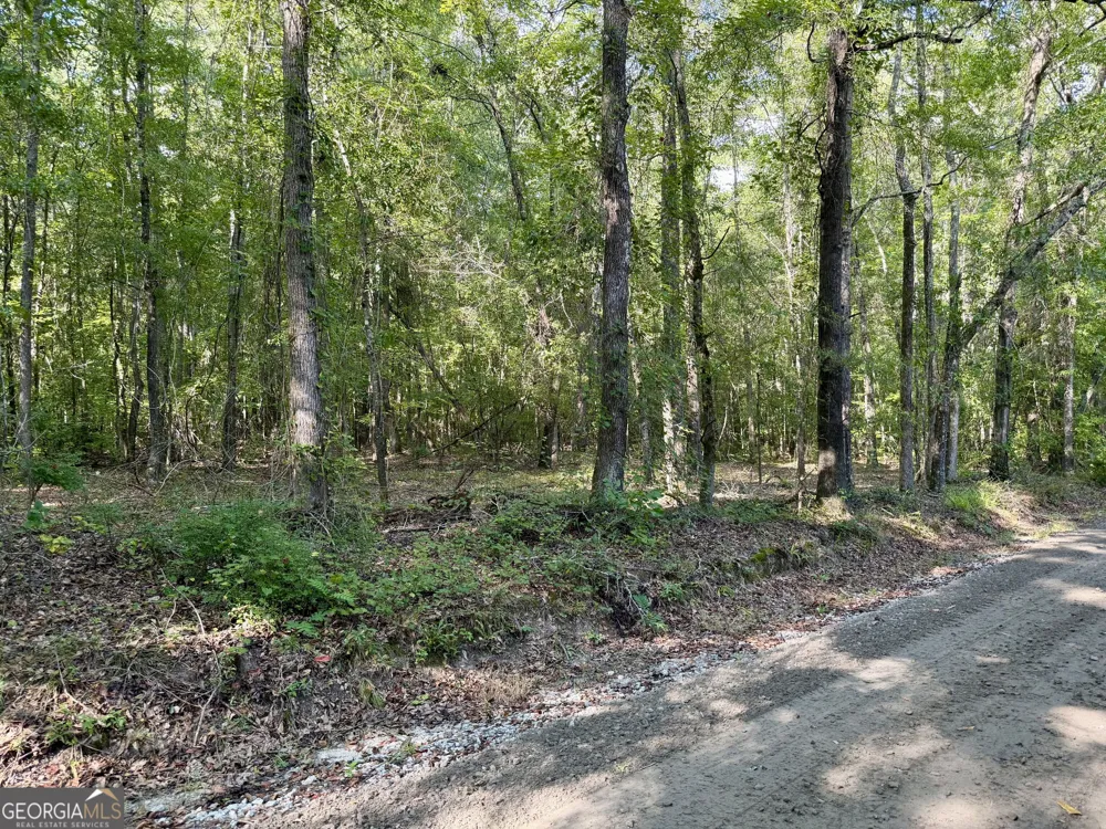 TRACT 5 Chapman RD Fayetteville, GA 30215