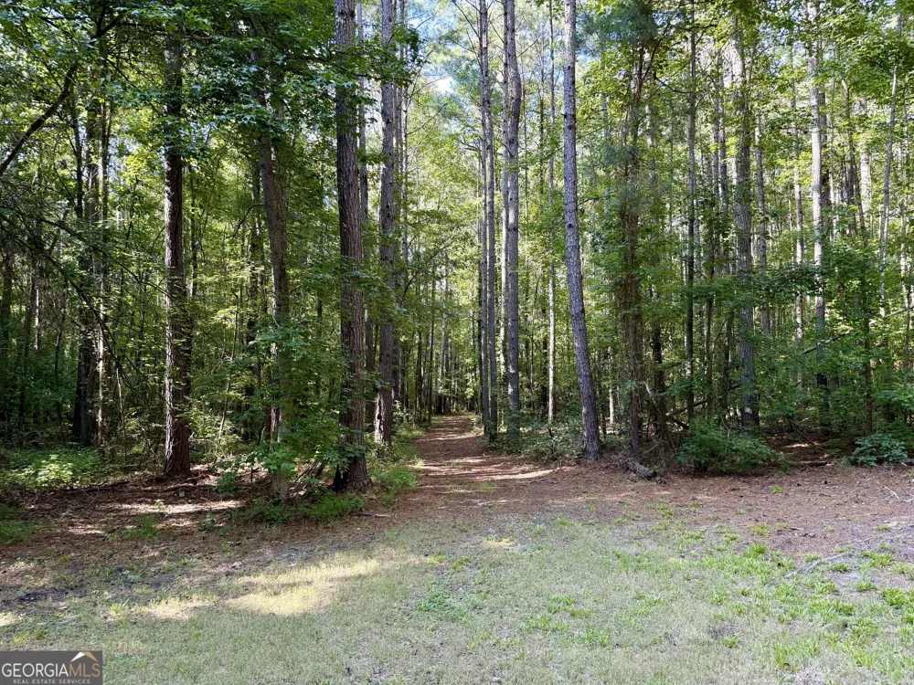 TRACT 5 Chapman RD Fayetteville, GA 30215
