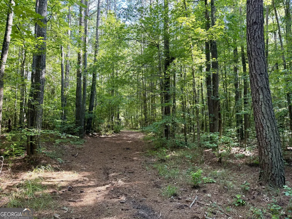 TRACT 5 Chapman RD Fayetteville, GA 30215