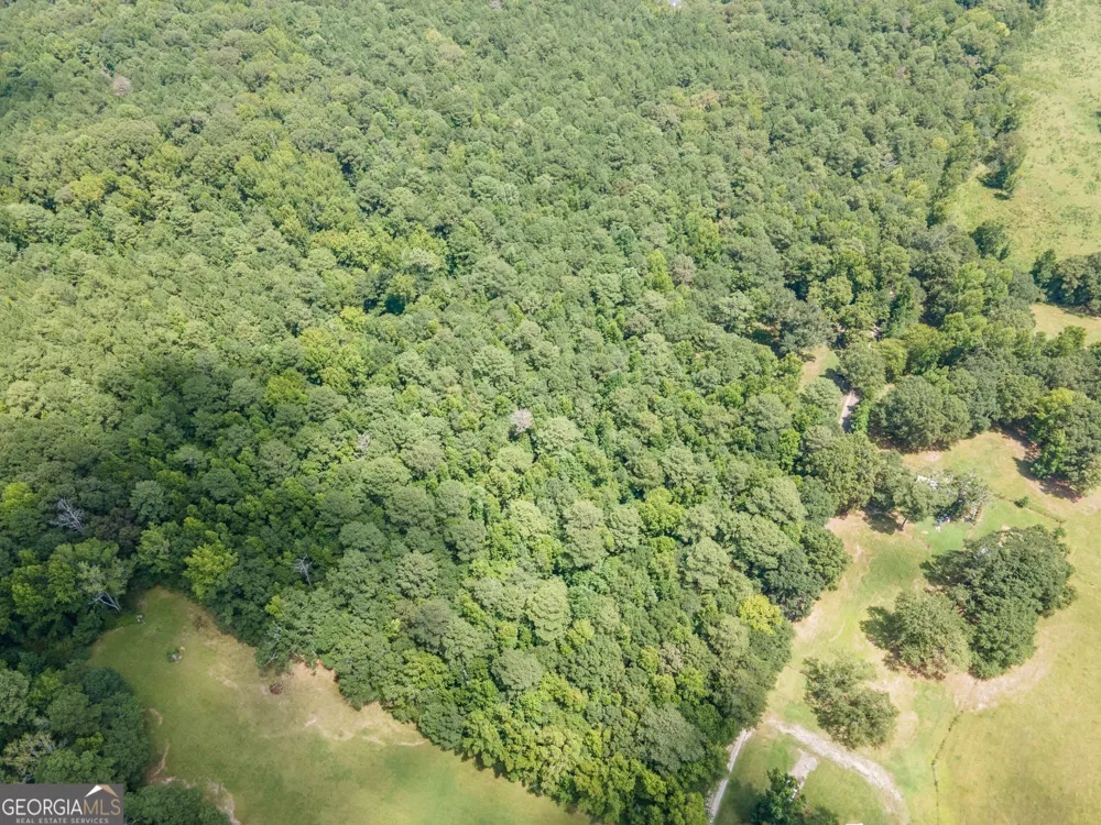 TRACT 5 Chapman RD Fayetteville, GA 30215