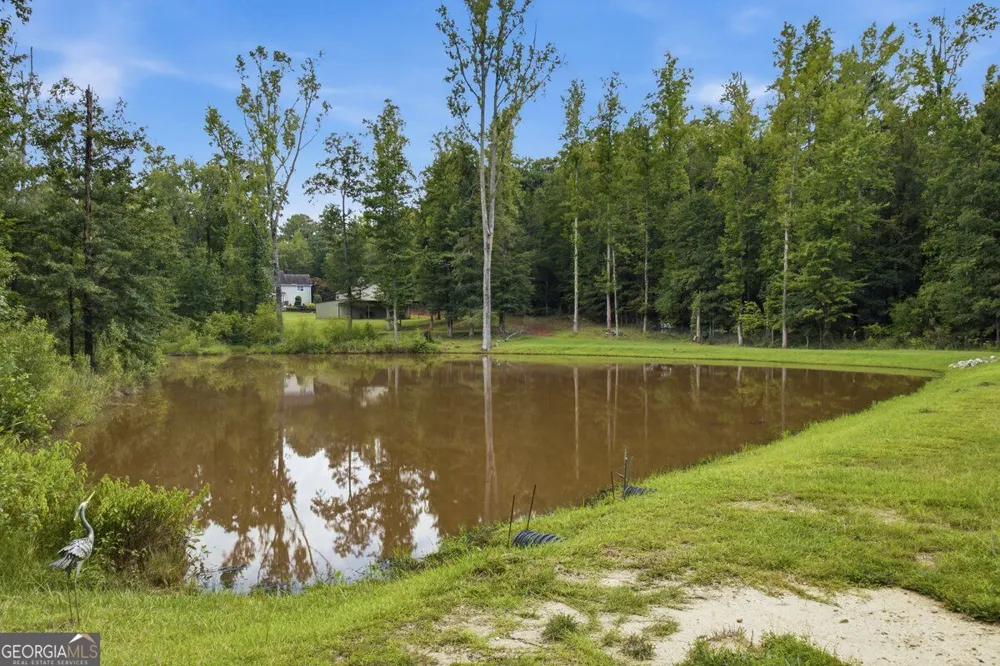 559 Macedonia RD Covington, GA 30014