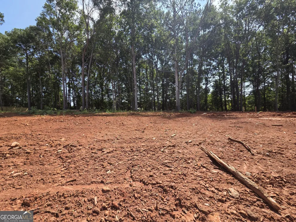 374 Meadows DR Bethlehem, GA 30620