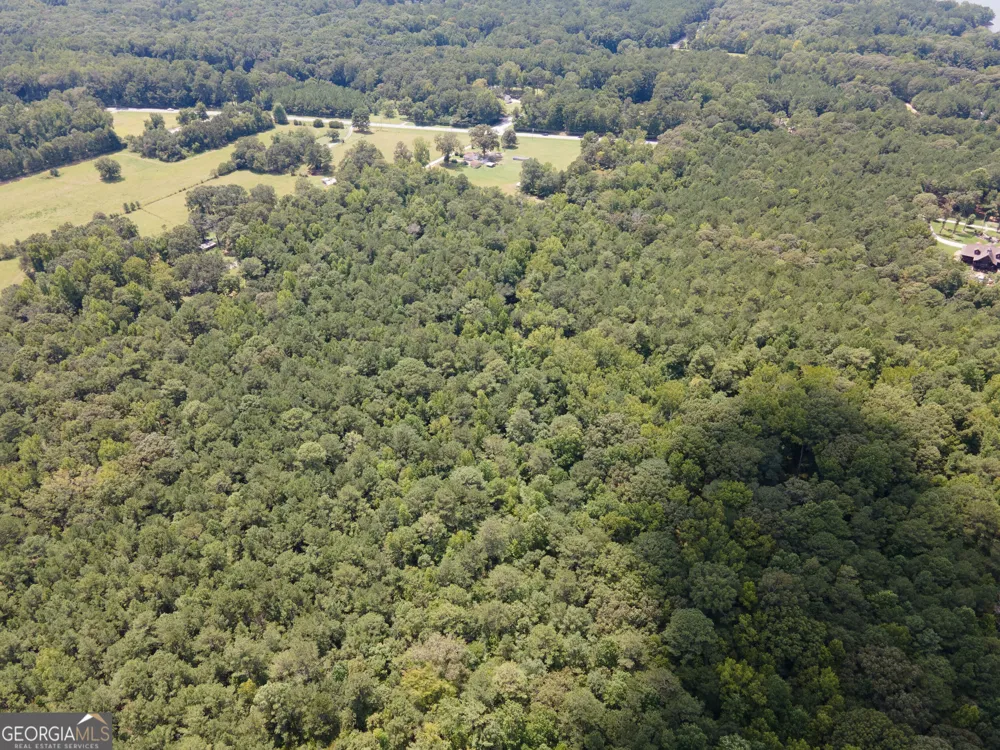 2552 EST. (TRACT 4) Highway 92 South Fayetteville, GA 30215