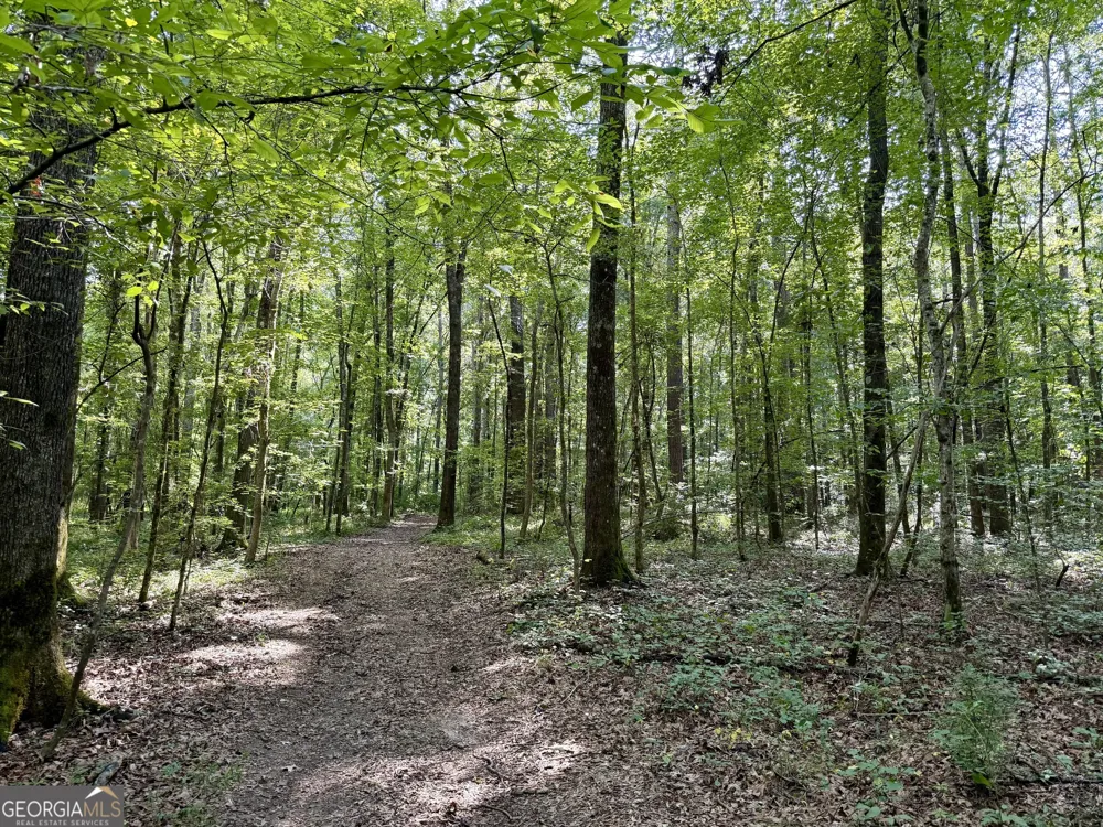 2552 EST. (TRACT 4) Highway 92 South Fayetteville, GA 30215